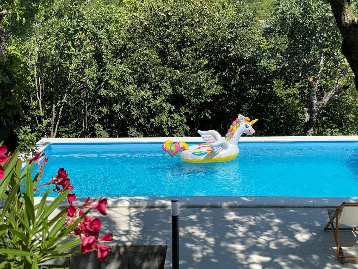 Сasa de vacaciones House Dunamis Krivodol